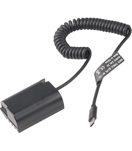 Amazon.com : Hersmay USB Type-C to DMW-BLK22 Dummy Battery Power